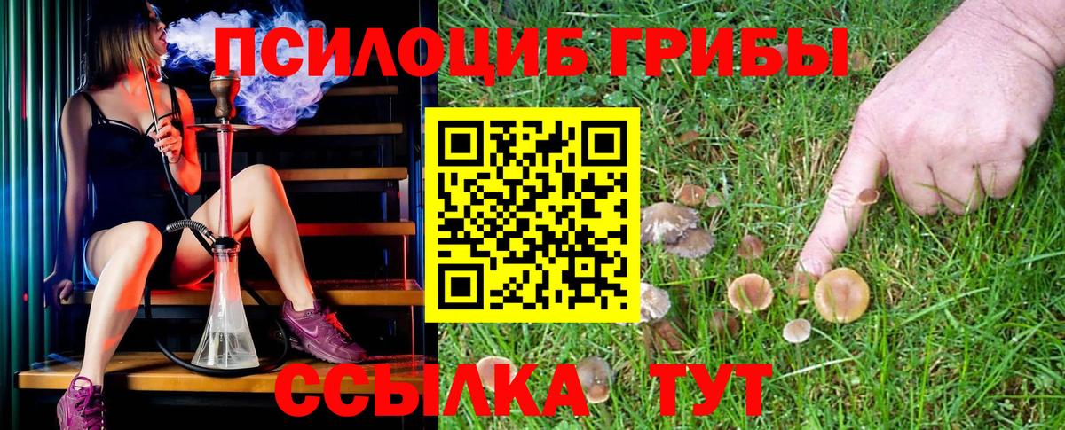 Галлюциногенные грибы Cubensis Гусиноозёрск